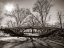 Picture of WALKWAY BRIDGE IN CENTRAL PARK, NEW YORK