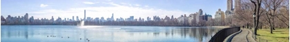 Picture of PANORAMIC VIEW OF LOWER MANHATTAN SKYLINE FROM CENTRAL PARK, NEW YORK