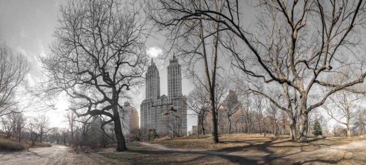 Picture of LOWER MANHATTAN CITYSCAPE FROM CENTRAL PARK, NEW YORK