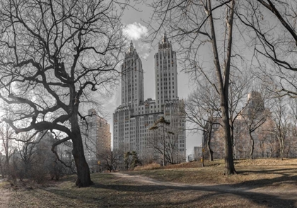 Picture of LOWER MANHATTAN CITYSCAPE FROM CENTRAL PARK, NEW YORK