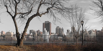 Picture of LOWER MANHATTAN CITYSCAPE FROM CENTRAL PARK, NEW YORK