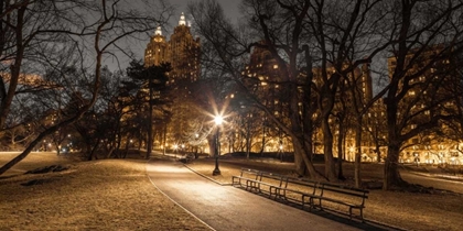 Picture of CENTRAL PARK IN EVENING, NEW YORK
