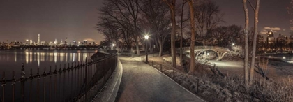 Picture of CENTRAL PARK IN EVENING, NEW YORK