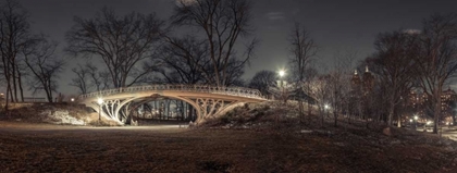 Picture of CENTRAL PARK IN EVENING, NEW YORK