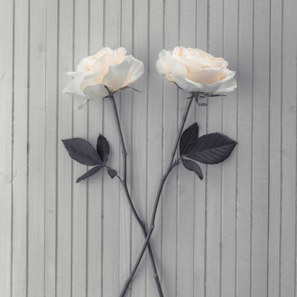 Picture of ROSES ON TABLE
