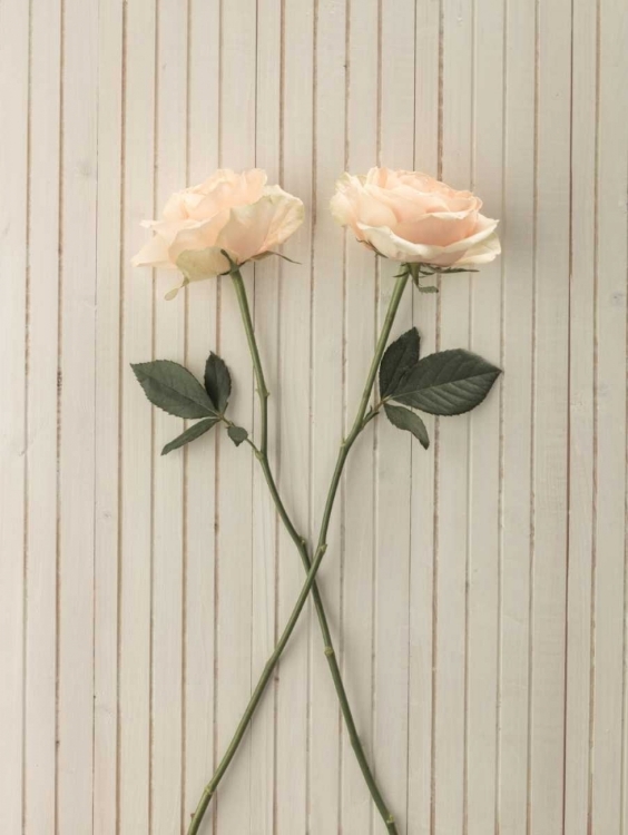 Picture of ROSES ON TABLE