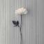 Picture of ROSE ON TABLE