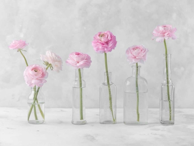 Picture of TULIPS AND DAFFODILS IN GLASS BOTTLES