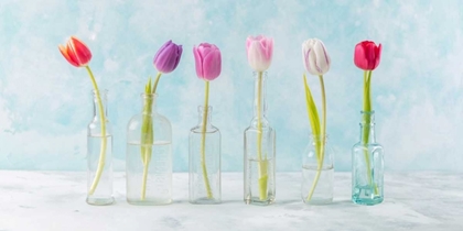 Picture of RANUNCUCLUS FLOWERS IN GLASS BOTTLES