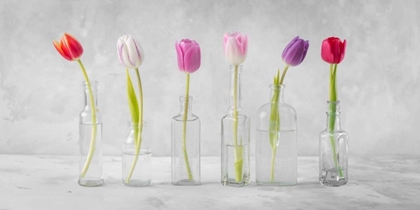 Picture of RANUNCUCLUS FLOWERS IN GLASS BOTTLES