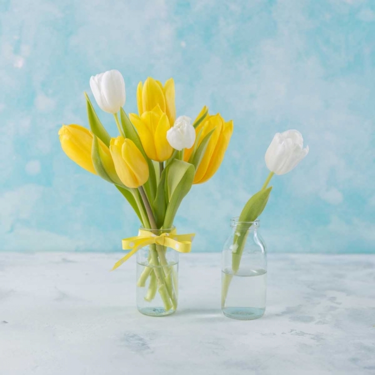 Picture of FRESH TULIPS IN GLASS BOTTLE