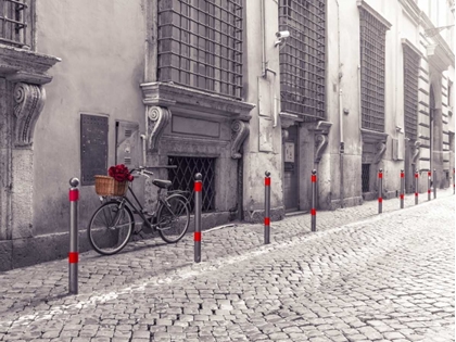 Picture of BUNCH OF ROSES ON BICYCLE ON OLD CITY STREET OF ROME