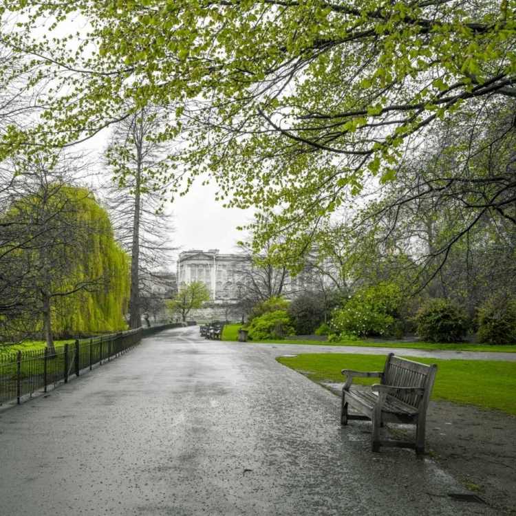 Picture of ST JAMES PARK, LONDON