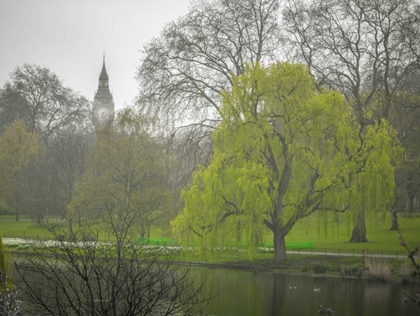 Picture of ST JAMES PARK, LONDON