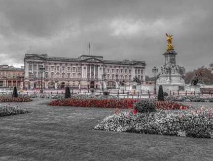 Picture of BUCKINGHAM PALACE AND ST JAMES PARK, LONDON