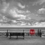Picture of BENCH AT SEASIDE PROMENADE