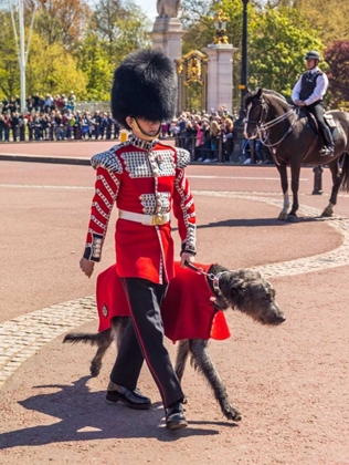 Picture of CHANGING THE GUARD, BUCKINGHAM PALACE, LONDON