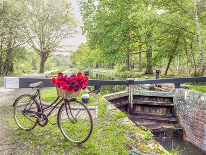 Picture of BICYCLE WITH BUNCH OF WHITE ROSES BY THE CANAL