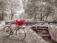 Picture of BICYCLE WITH BUNCH OF WHITE ROSES BY THE CANAL