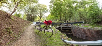 Picture of BICYCLE WITH BUNCH OF RED ROSES BY THE CANAL