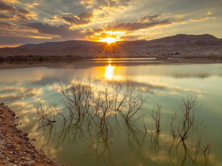 Picture of DEAD SEA, ISRAEL