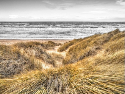 Picture of TRANQUIL BEACH WITH GRASS, BLACKPOOL, UK