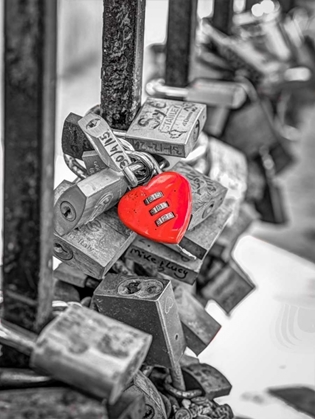 Picture of LOVE PADLOCKS ON BRIDGE RAILING, ST JULIANS, MALTA