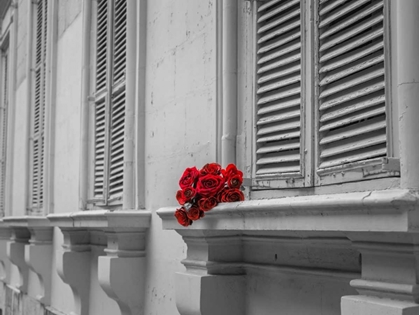 Picture of BUNCH OF ROSES ON WINDOW OF A HOUSE IN MDINA, MALTA