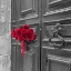 Picture of BUNCH OF ROSES ON DOOR OF A BUILDING IN MDINA, MALTA