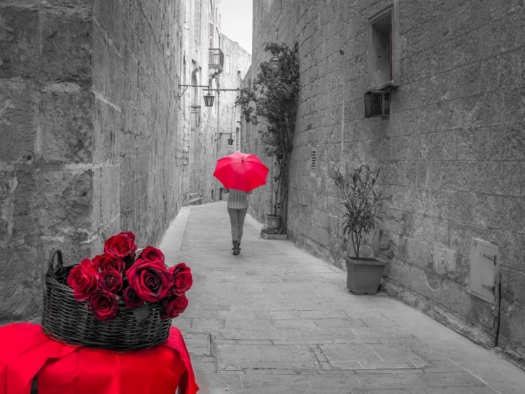 Picture of TOURIST WITH UMBRELLA WALKING THROUGH NARROW LANES OF MDINA WITH RED ROSES IN FRONT, MALTA