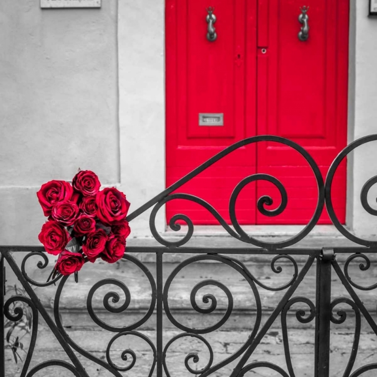 Picture of BUNCH OF ROSES ON IRON GATE OF AN OLD HOUSE IN MDINA, MALTA