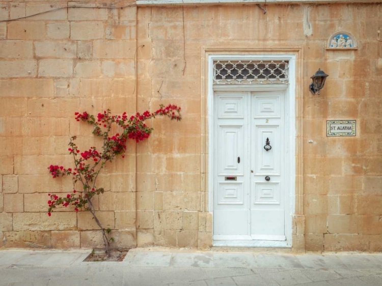 Picture of OLD WOODEN DOOR ON HOUSE IN MDINA, MALTA