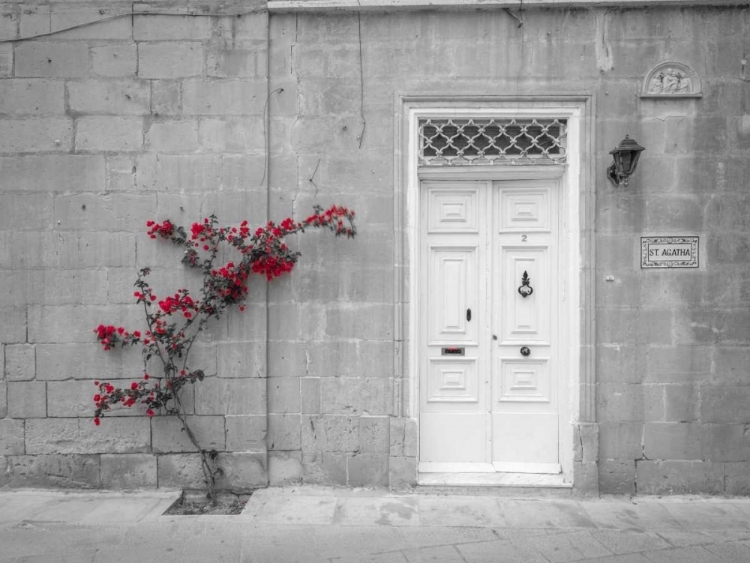 Picture of OLD WOODEN DOOR ON HOUSE IN MDINA, MALTA