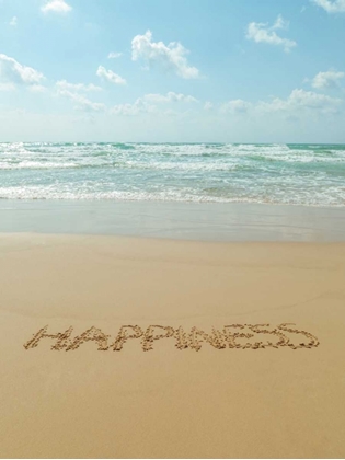 Picture of WORD HAPPINESS WRITTEN IN SAND ON THE BEACH