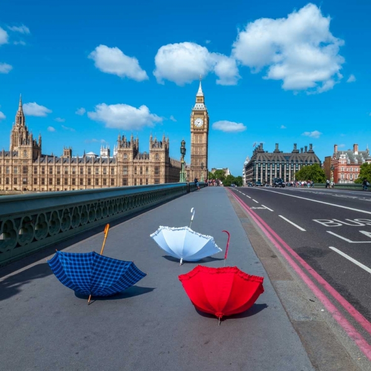 Picture of COLOURFUL UMBRELLAS ON WESTMINSTER BRIDGE , LONDON, UK