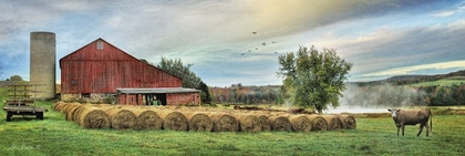 Picture of HAY HARVEST