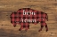 Picture of BORN TO ROAM BISON