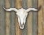 Picture of COW SKULL II