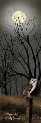 Picture of BARN OWL