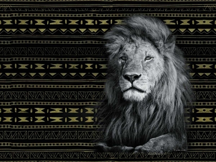 Picture of PATTERNED LION