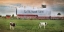 Picture of FARM SWEET FARM