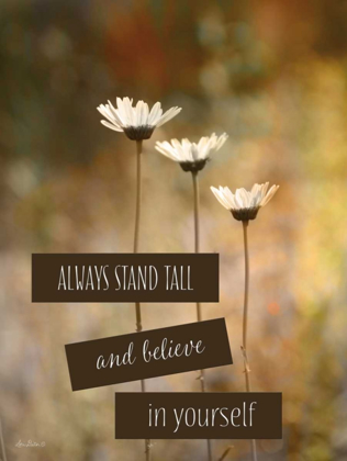 Picture of STAND TALL