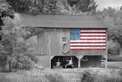 Picture of PATRIOTIC FARM I