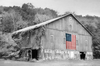 Picture of PATRIOTIC FARM II