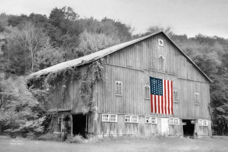 Picture of PATRIOTIC FARM II