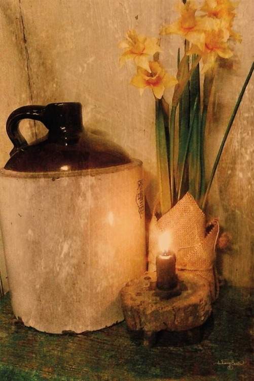 Picture of DAFFODILS BY CANDLELIGHT