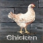Picture of CHICKEN