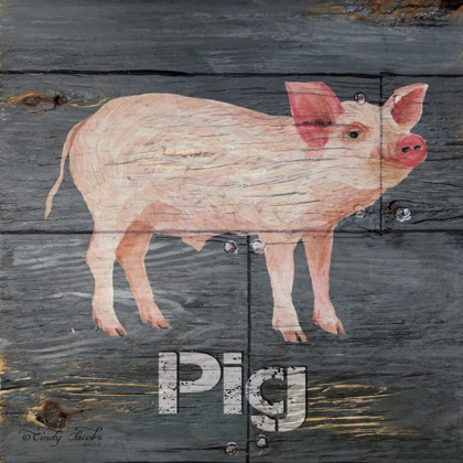 Picture of PIG