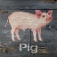 Picture of PIG