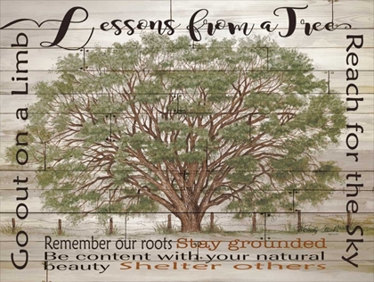 Picture of LESSONS FROM A TREE